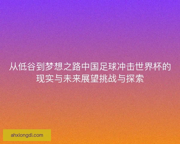 从低谷到梦想之路中国足球冲击世界杯的现实与未来展望挑战与探索