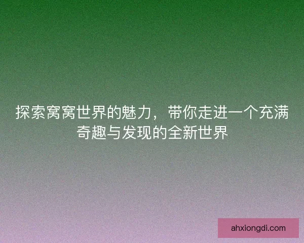 探索窝窝世界的魅力，带你走进一个充满奇趣与发现的全新世界