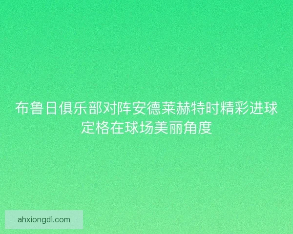 布鲁日俱乐部对阵安德莱赫特时精彩进球定格在球场美丽角度