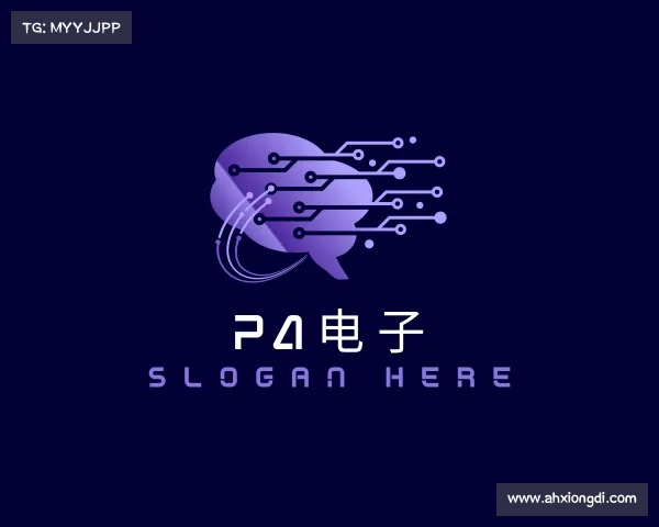 了解PA电子
